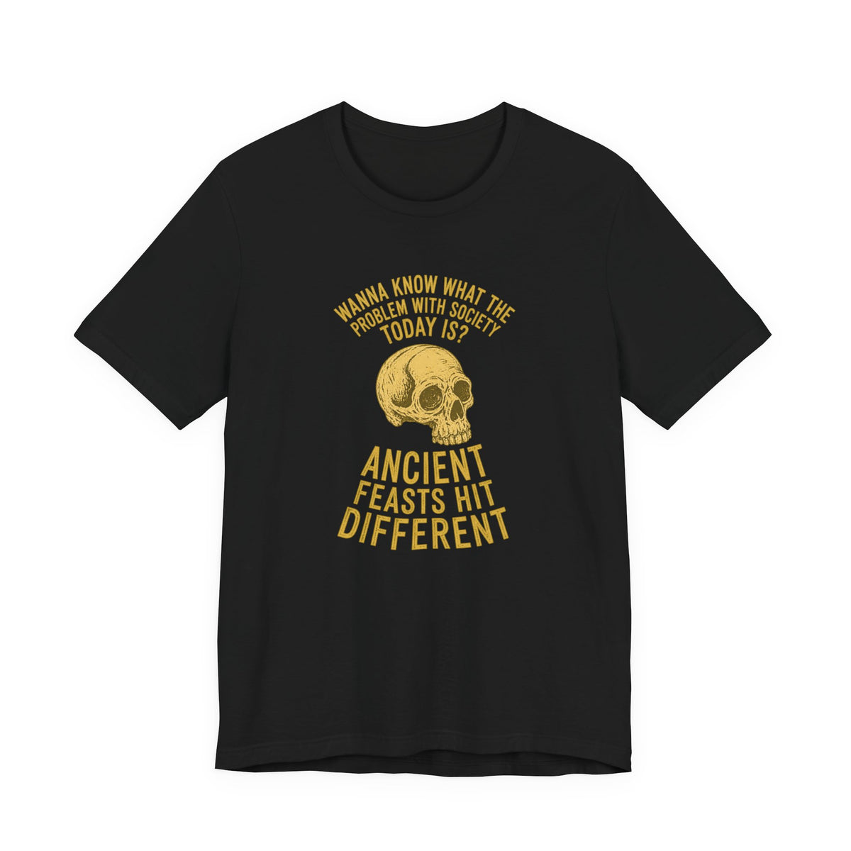Ancient Feasts Hit Different - History Meme T-Shirt